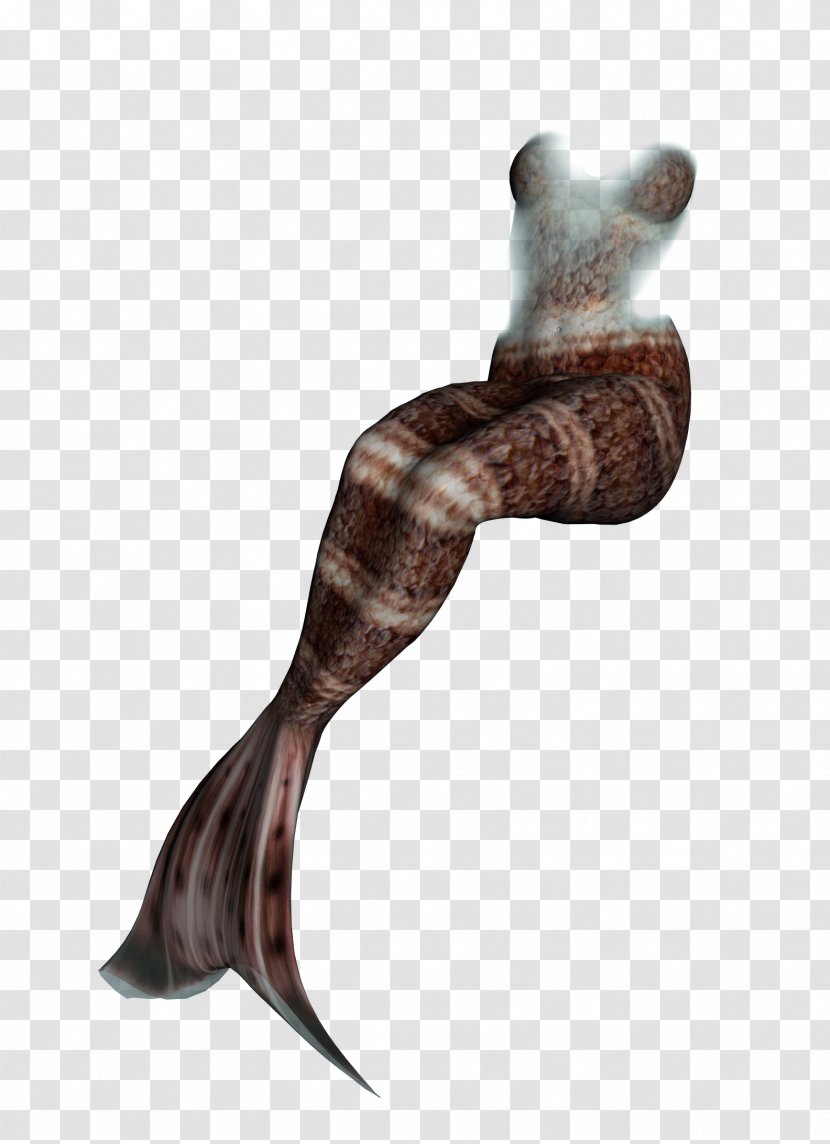 Mermaid Tail Download Computer File - Brown Beautiful Transparent PNG