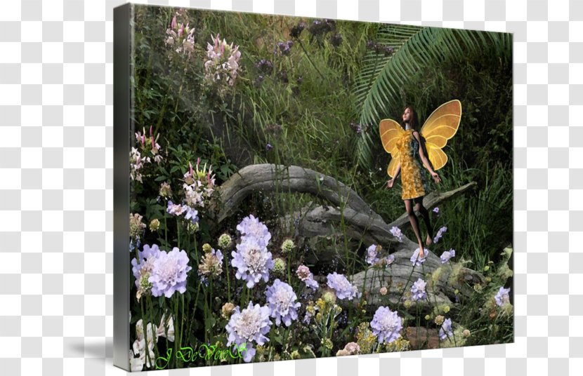 Fauna Gallery Wrap Garden Canvas Art - Lawn - Prayer Mat Transparent PNG