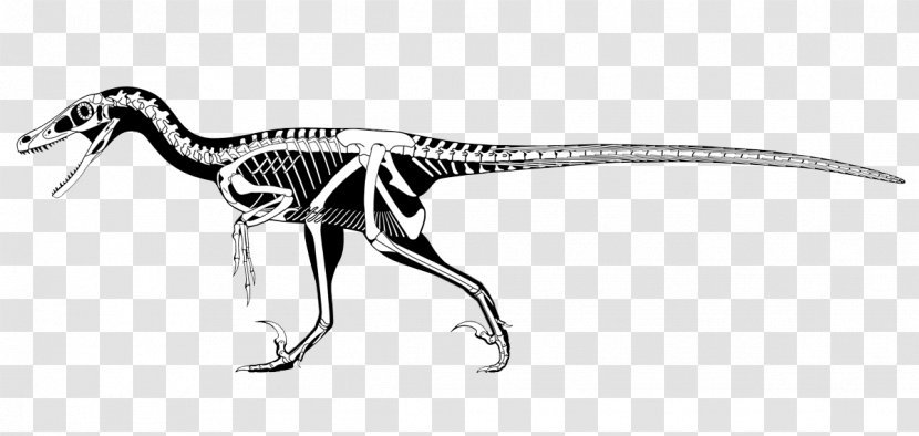 Velociraptor Utahraptor Deinonychus Tyrannosaurus Dromaeosaurus - Dinosauria - Dinosaur Transparent PNG