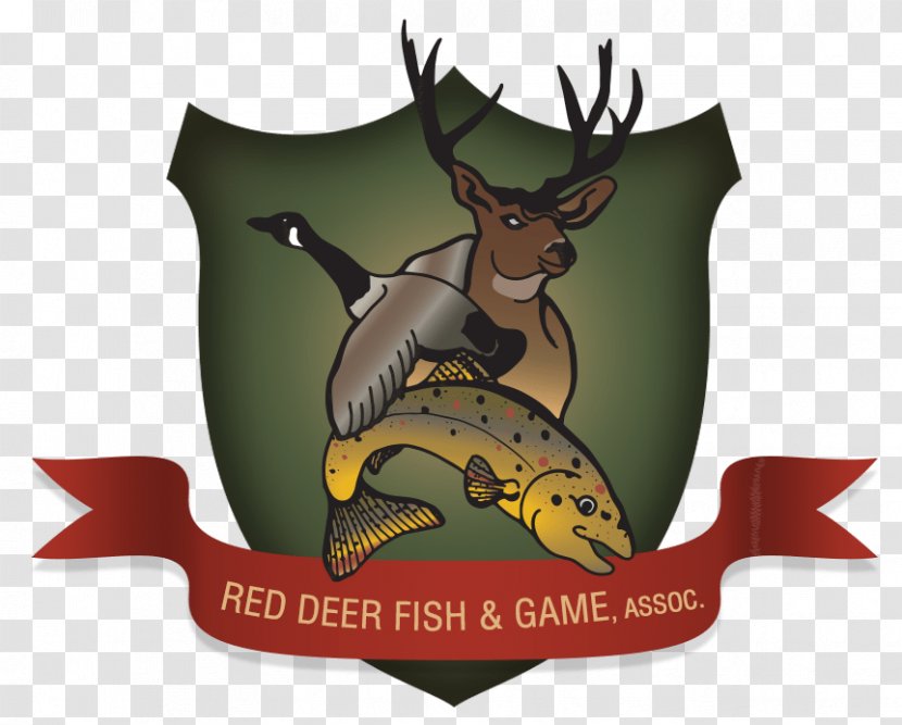 Red Deer Reindeer Game Meat - Angling Transparent PNG