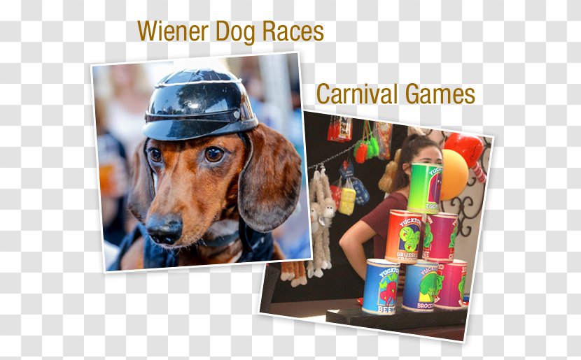 Old World German Restaurant Oktoberfest Dog Pet Party - Woman Transparent PNG