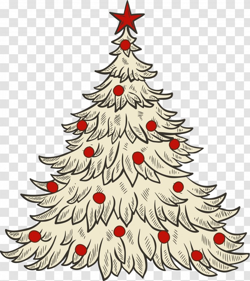 Christmas Tree - Evergreen Transparent PNG