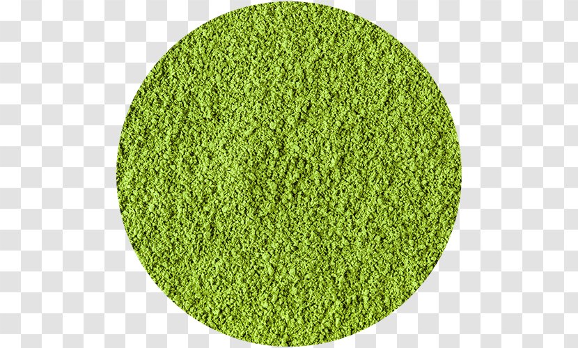Sod Scutch Grass Heat Transfer Vinyl Lawn Agrostis Stolonifera - Matcha Tea Transparent PNG