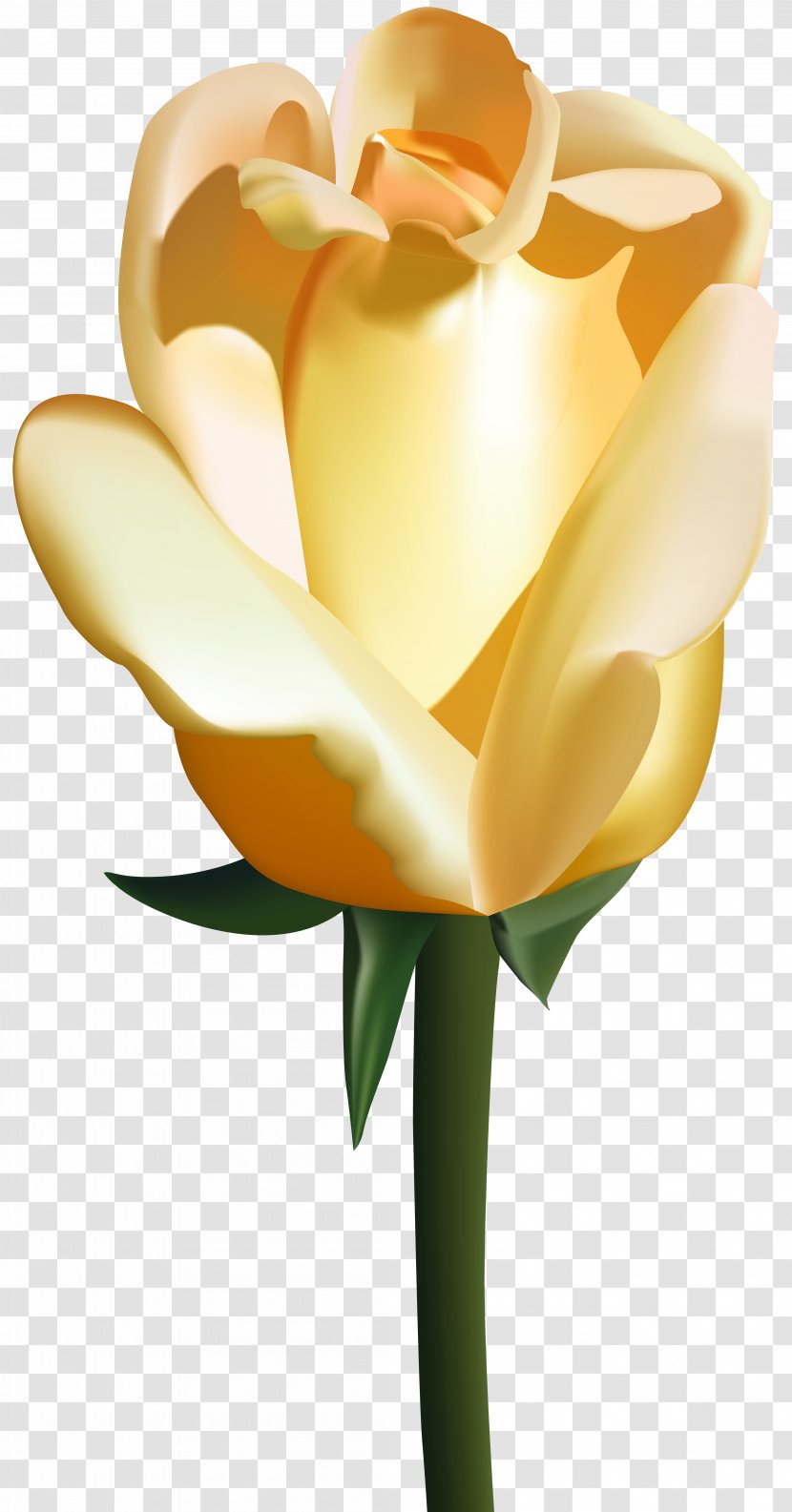Flower Rose Clip Art - Yellow Image Transparent PNG