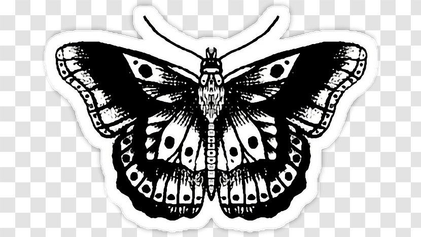 Tattoo Image Butterfly Model Drawing - Brush Footed - Effect Transparent PNG