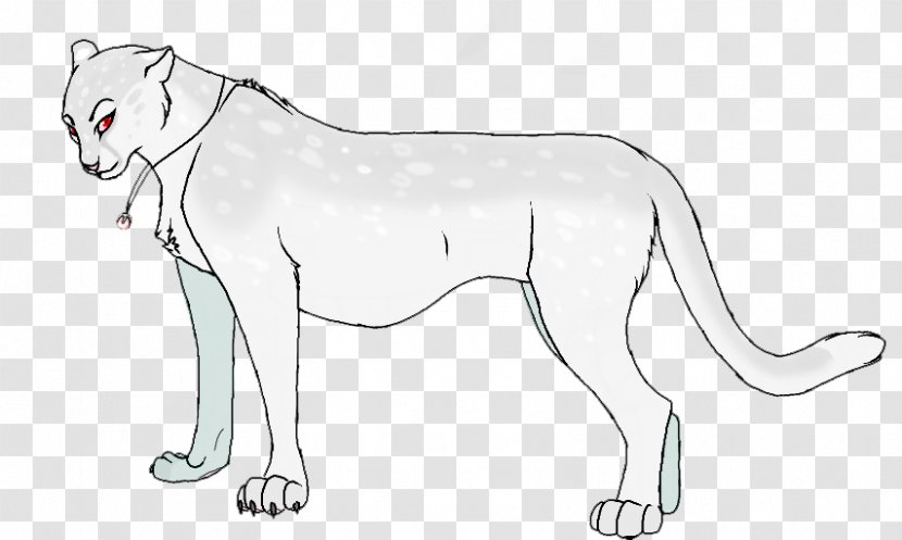 Whiskers Cat Line Art Wildlife Terrestrial Animal - Mammal - Give Away Transparent PNG