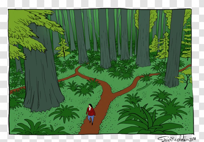 Biome Flora Rainforest Fauna Vegetation - Art - Forest Walk Transparent PNG