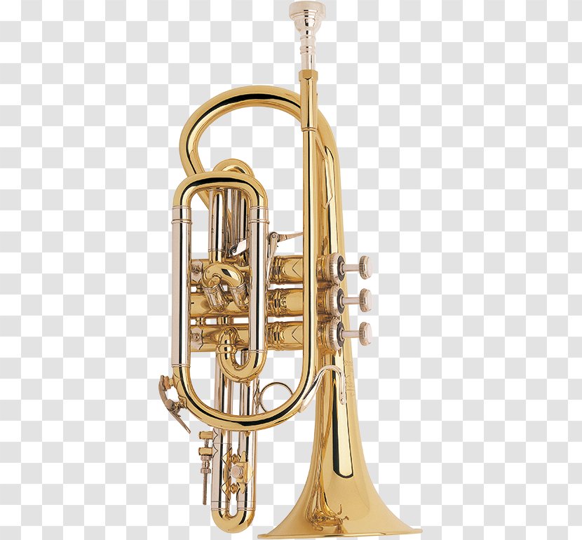 Cornet Trumpet Flugelhorn Mellophone Vincent Bach Corporation - Watercolor Transparent PNG