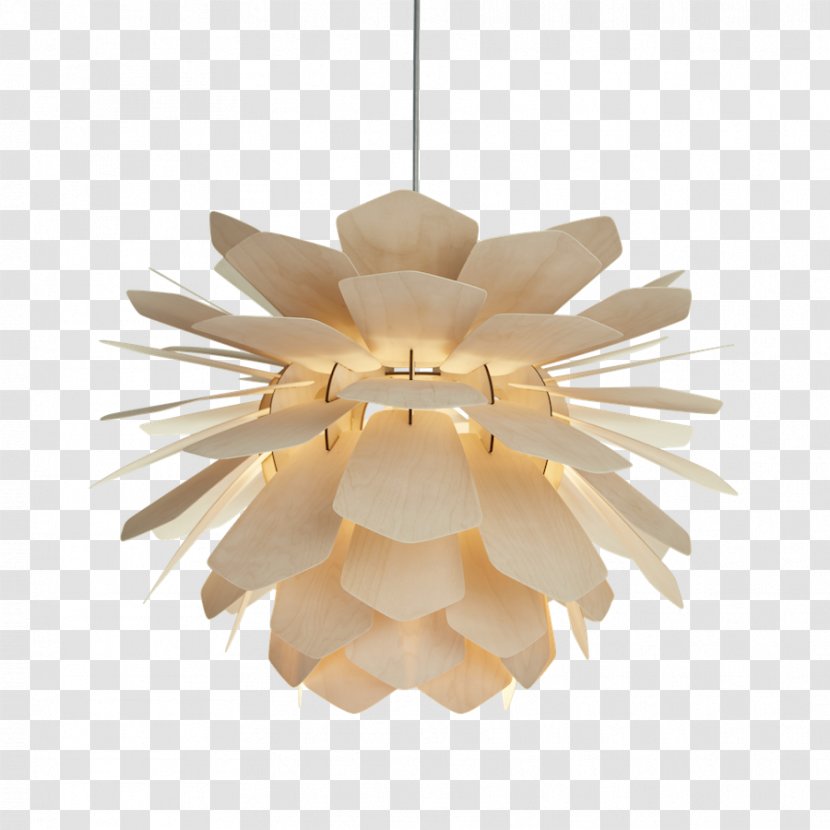 Pendant Light Lamp Shades Fixture Lighting Transparent PNG