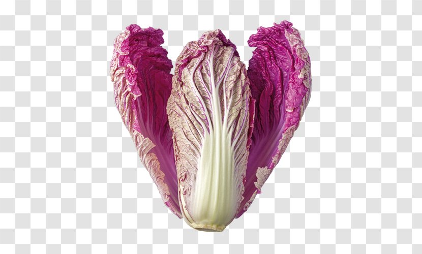 Vegetable Romanesco Broccoli GrönsaksMästarna Sverige AB Red Cabbage Transparent PNG