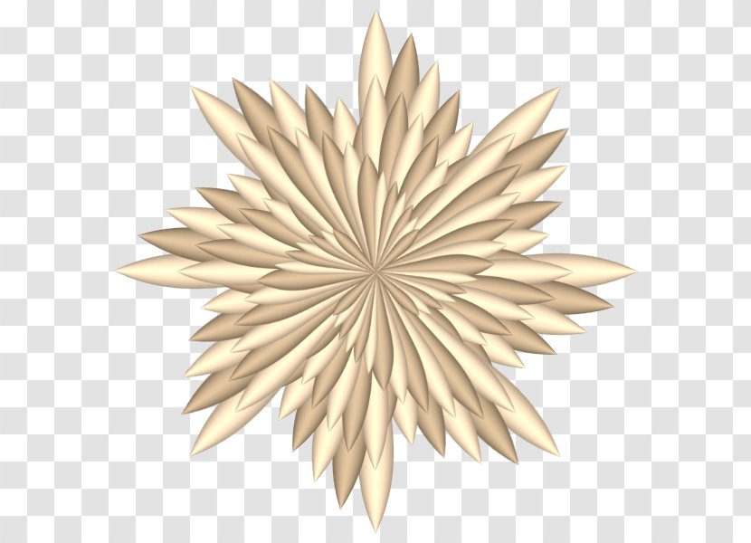 Christmas Decoration Cartoon - Star - Flower Beige Transparent PNG