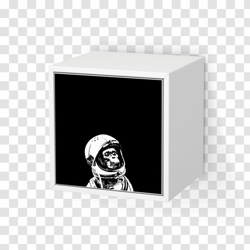 Rectangle T-shirt Monkeys And Apes In Space - Industrial Design - Reduce The Price Transparent PNG