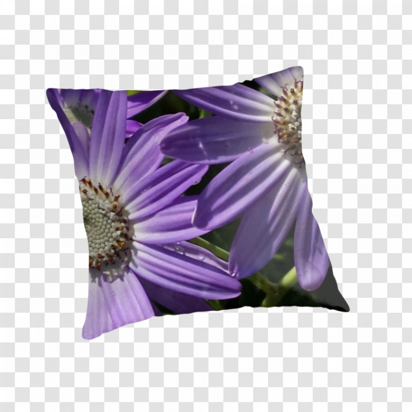 Cushion Throw Pillows - Purple - Pillow And Blanket Cartoon Transparent PNG