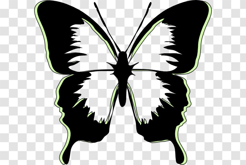Butterfly Stencil Drawing Art Transparent PNG
