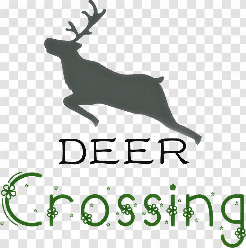 Deer Crossing Deer Transparent PNG