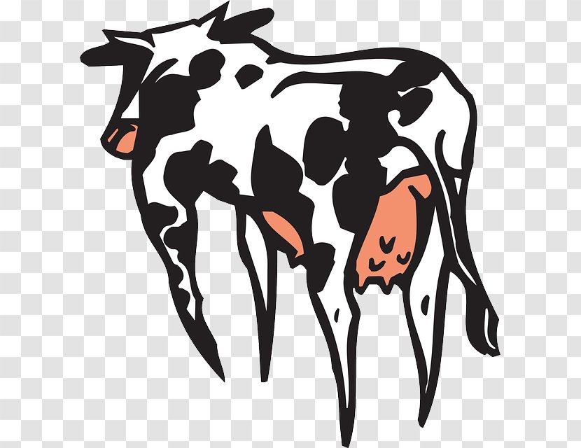 Texas Longhorn English North Devon Cattle Milk Clip Art - Horse Like Mammal Transparent PNG