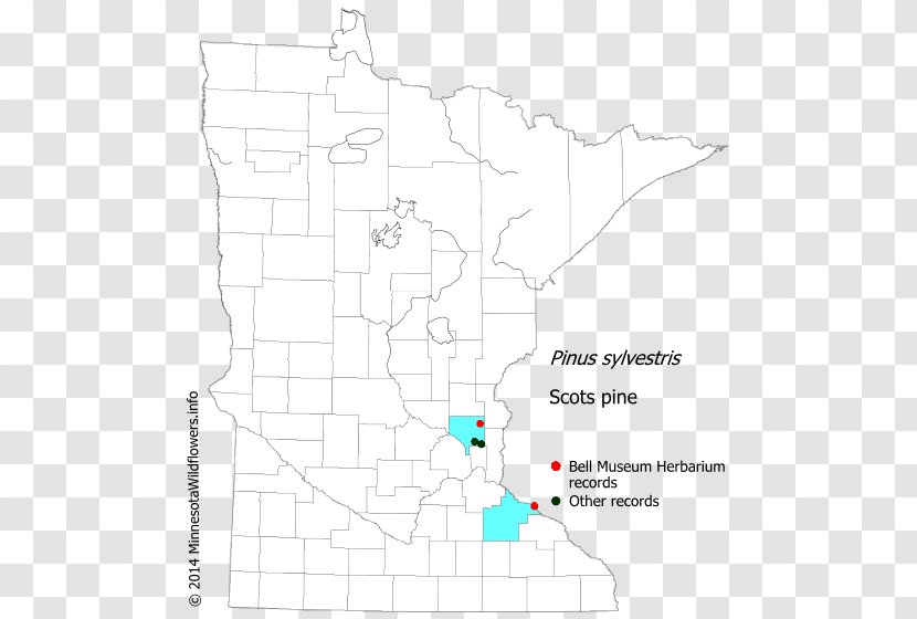 Line Land Lot Point Angle Map Transparent PNG