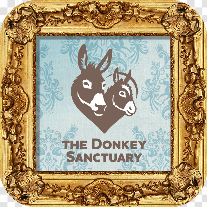 The Donkey Sanctuary Picture Frames Animal Pattern Transparent PNG