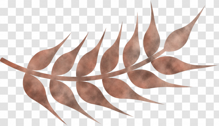 Wheat Ears Transparent PNG