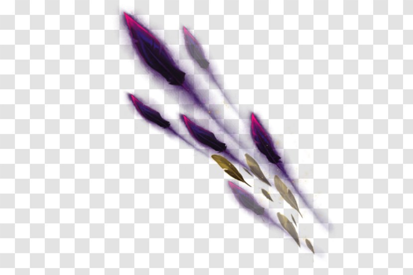 Feather League Of Legends Bird Quill Wing - Underbrush 0 2 1 Transparent PNG