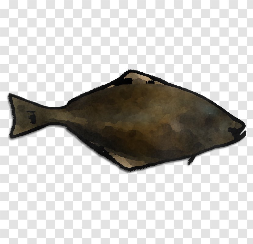Fish Flatfish Sole Metal Transparent PNG