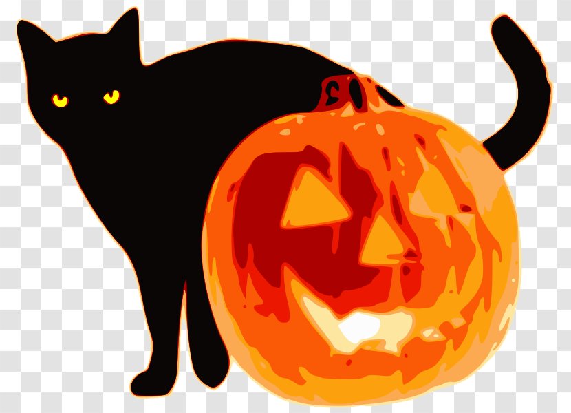 Jack-o'-lantern Kitten Whiskers Cat Halloween - Jacko'lantern Transparent PNG
