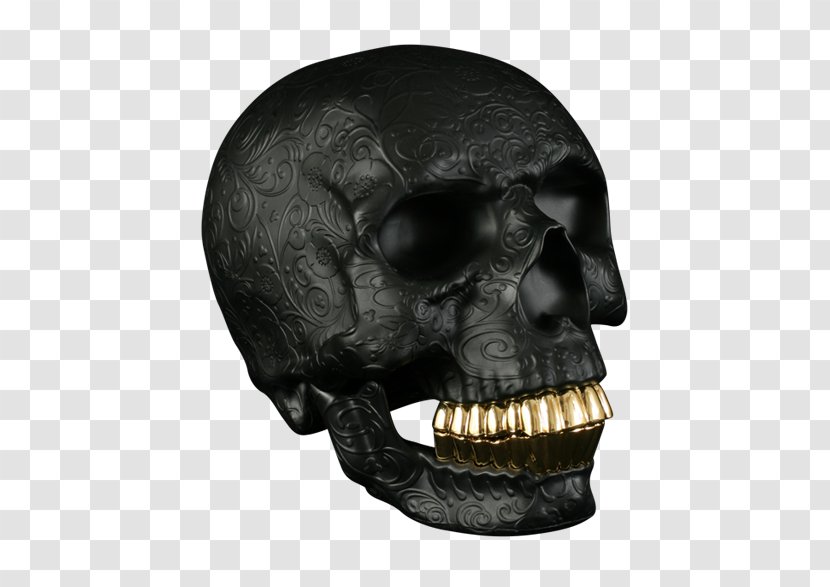 Skull Gold Teeth Human Tooth Jaw Transparent PNG