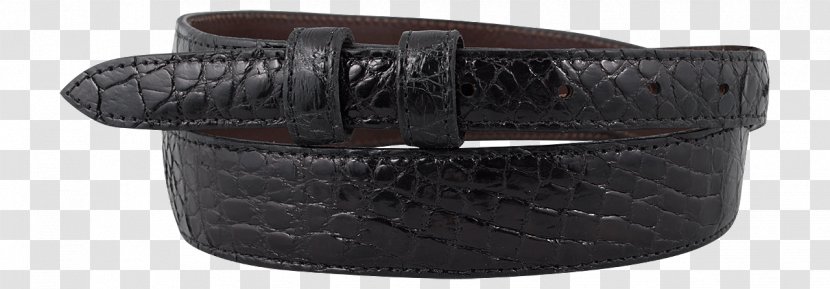 Belt Buckles Watch Strap - Fashion Accessory - Crocodile Farm Transparent PNG