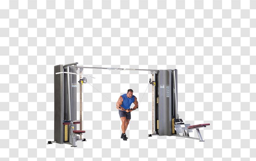 Fitness Centre Exercise Equipment Physical Jungle Gym - Row Transparent PNG