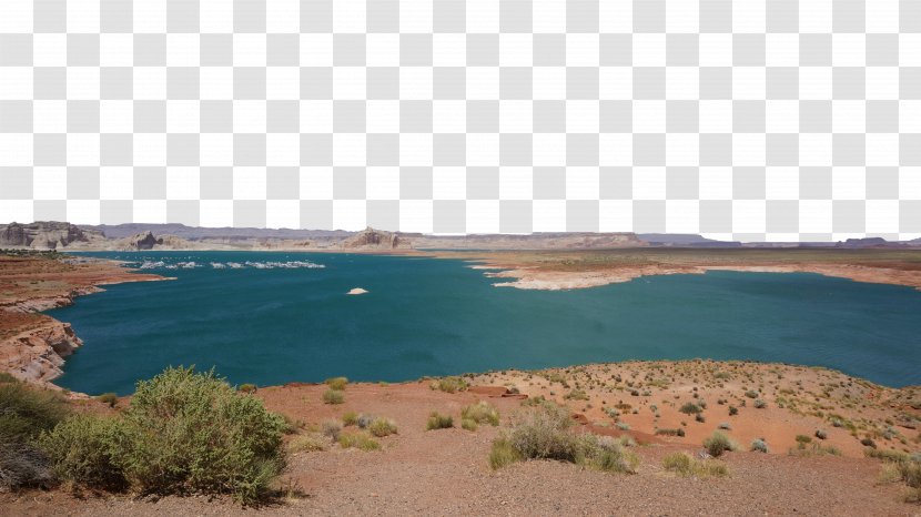 Water Resources Property Wood Sky - USA Scenic Lake Powell Transparent PNG