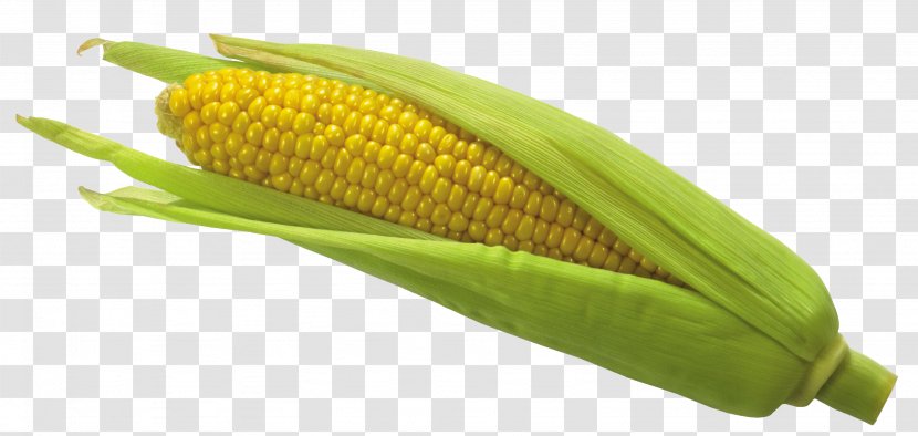 Maize Clip Art - Food - Corn Picture Transparent PNG