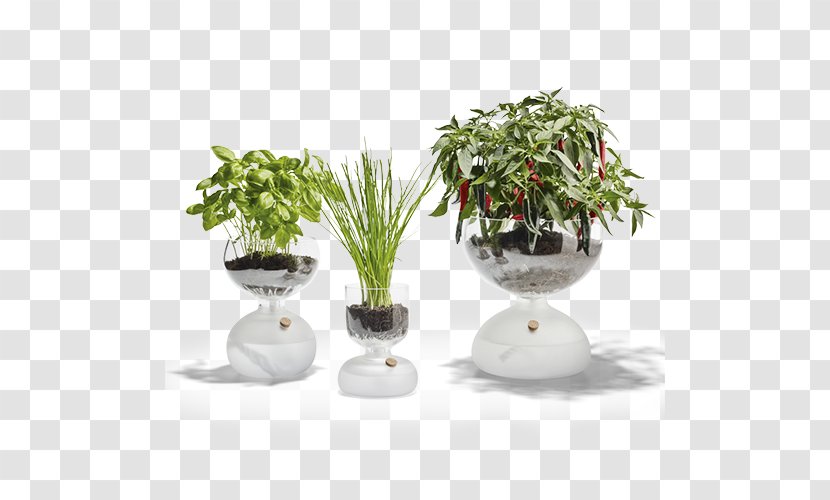 Holmegaard Glass Flowerpot Gaia Garden Transparent PNG