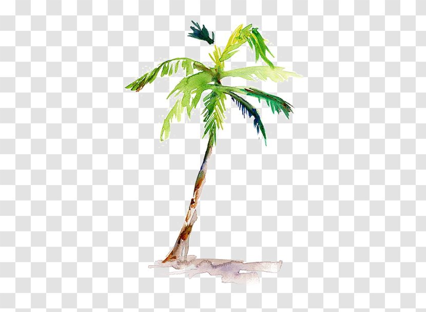 Watercolor Painting Arecaceae Drawing - Leaf - Coconut Tree Transparent PNG