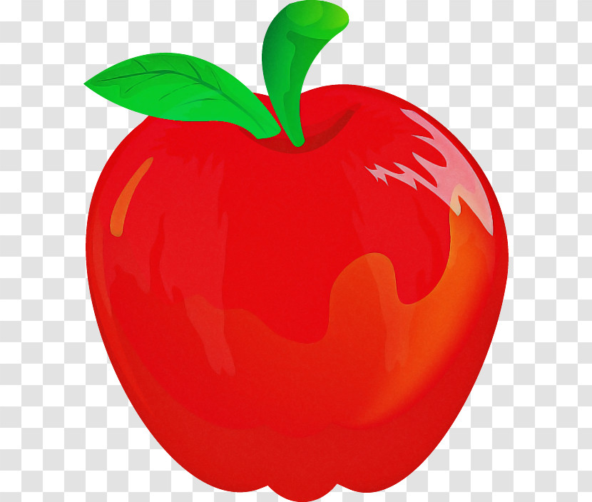 Fruit Red Apple Plant Mcintosh Transparent PNG