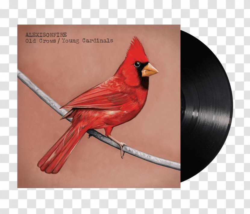 Old Crows / Young Cardinals Alexisonfire Post-hardcore - Watercolor - Double Twelve Posters Shading Material Transparent PNG