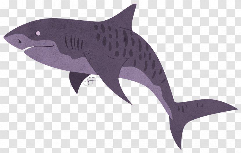 Tiger Shark Marine Biology Requiem Sharks Mammal - Fin Transparent PNG