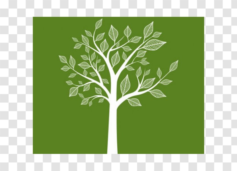 Royalty-free Stock Photography - Health Fitness And Wellness - Family Tree Transparent PNG