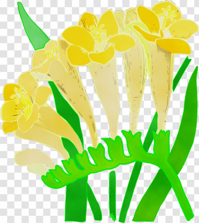 Floral Design - Green - Plant Yellow Transparent PNG