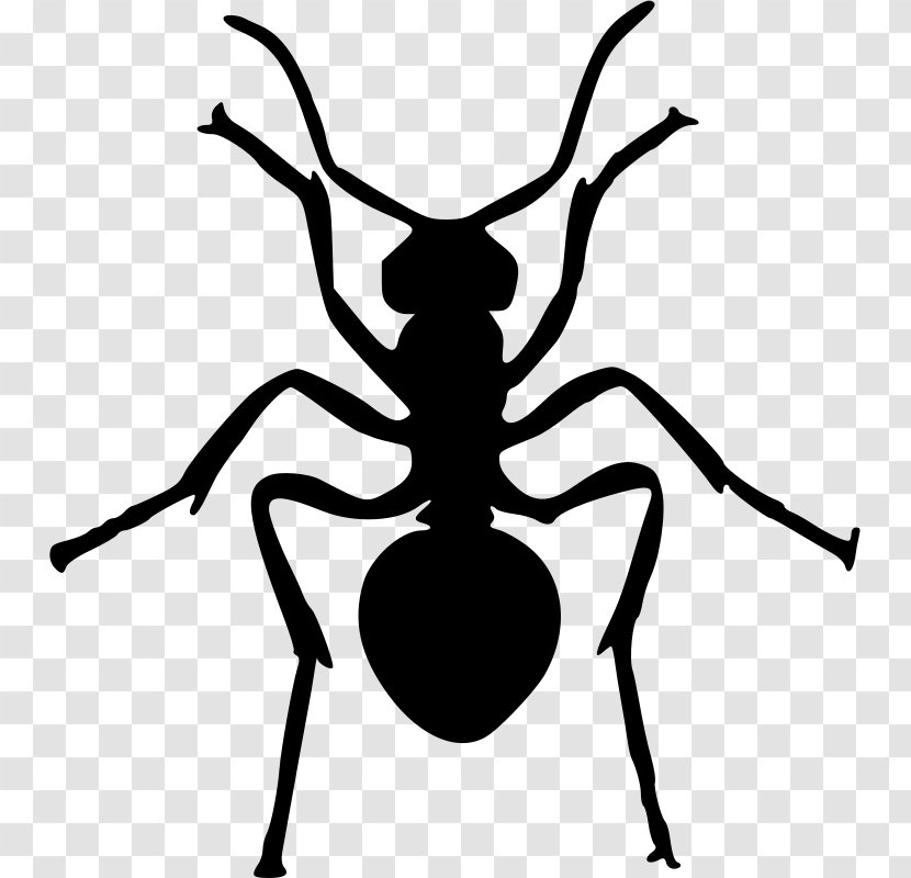 Ant Insect Silhouette Clip Art - Monochrome Photography - Ants Transparent PNG