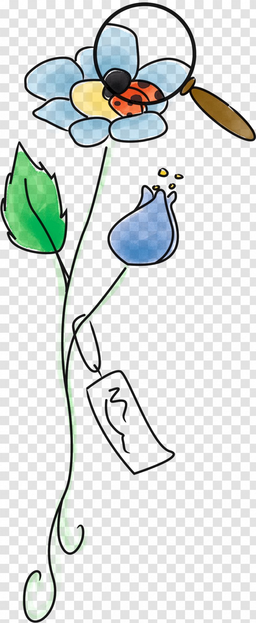 Flower Line Art Cartoon Clip - Organism Transparent PNG