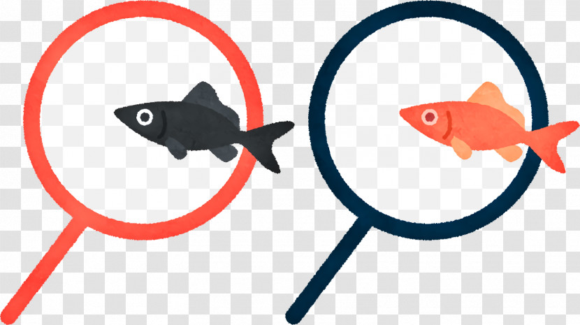 Fish Line Biology Science Transparent PNG