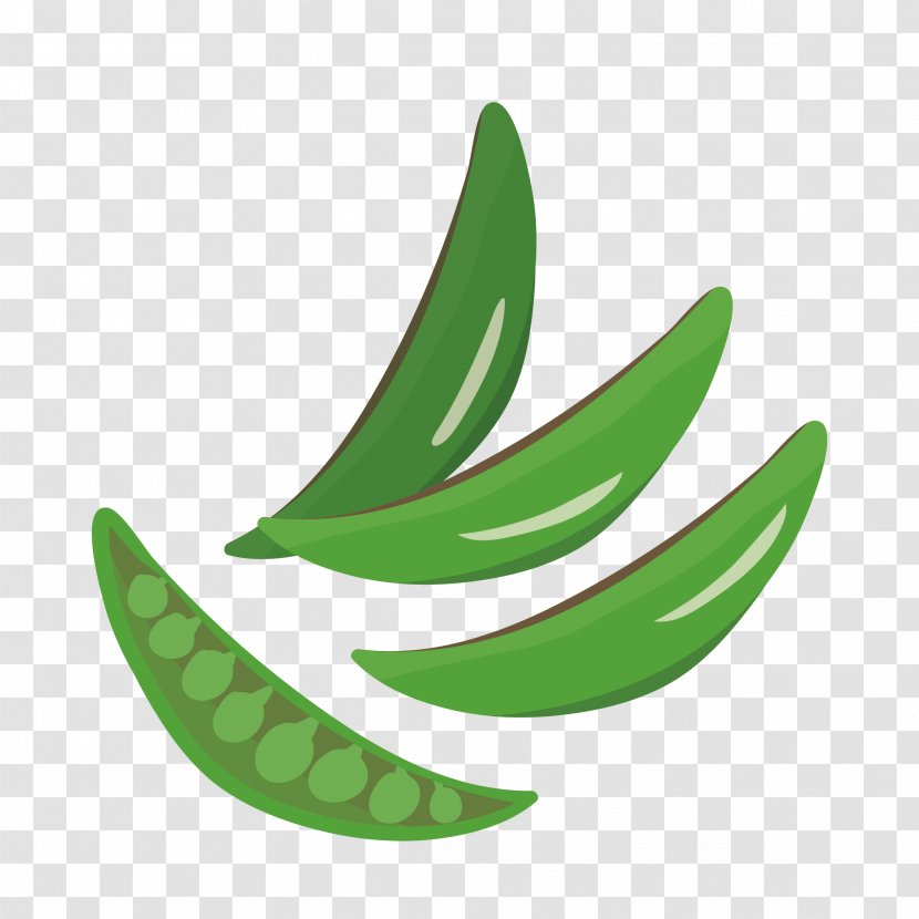 Vegetable Font - Fruit - Snap Pea Transparent PNG