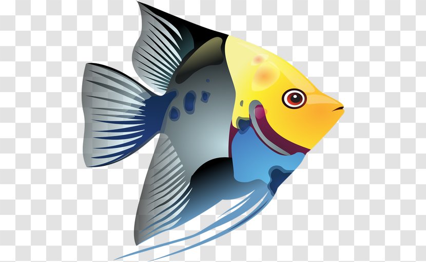 Tropical Fish Clip Art - Color Transparent PNG