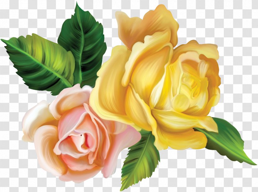 Flower Drawing Floral Design Garden Roses Clip Art - Floristry Transparent PNG