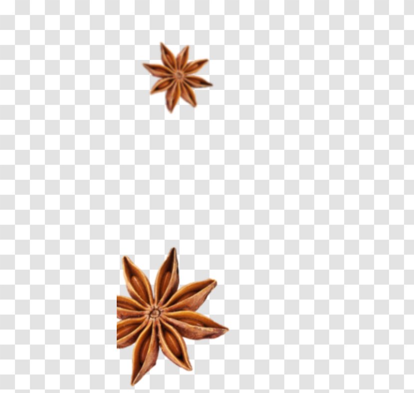 Spice Flavor Falafel Indian Cuisine Cinnamon - Flower - Star Anise Transparent PNG