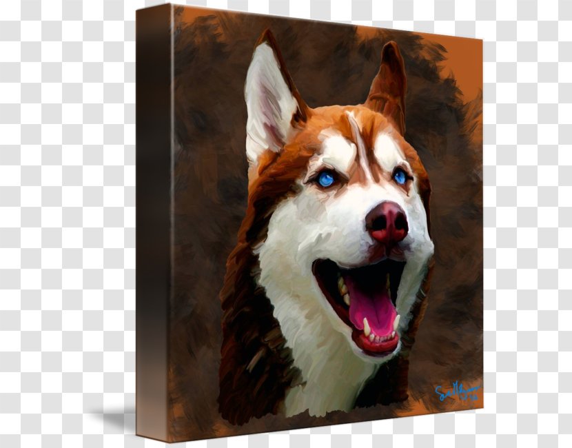 Siberian Husky Sakhalin Dog Breed Puppy - Sled Transparent PNG