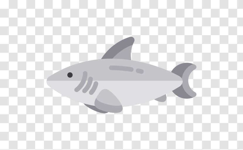 Shark - Fin Transparent PNG