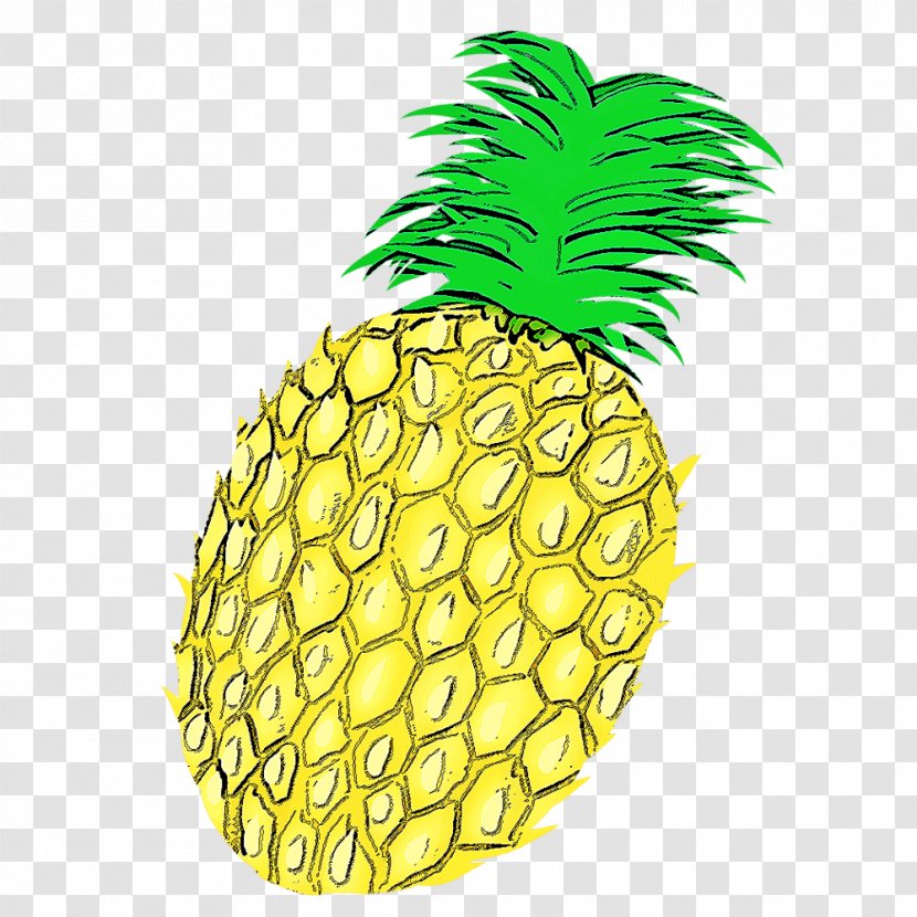 Pineapple Drawing Watercolor Painting Door Hanger Transparent PNG