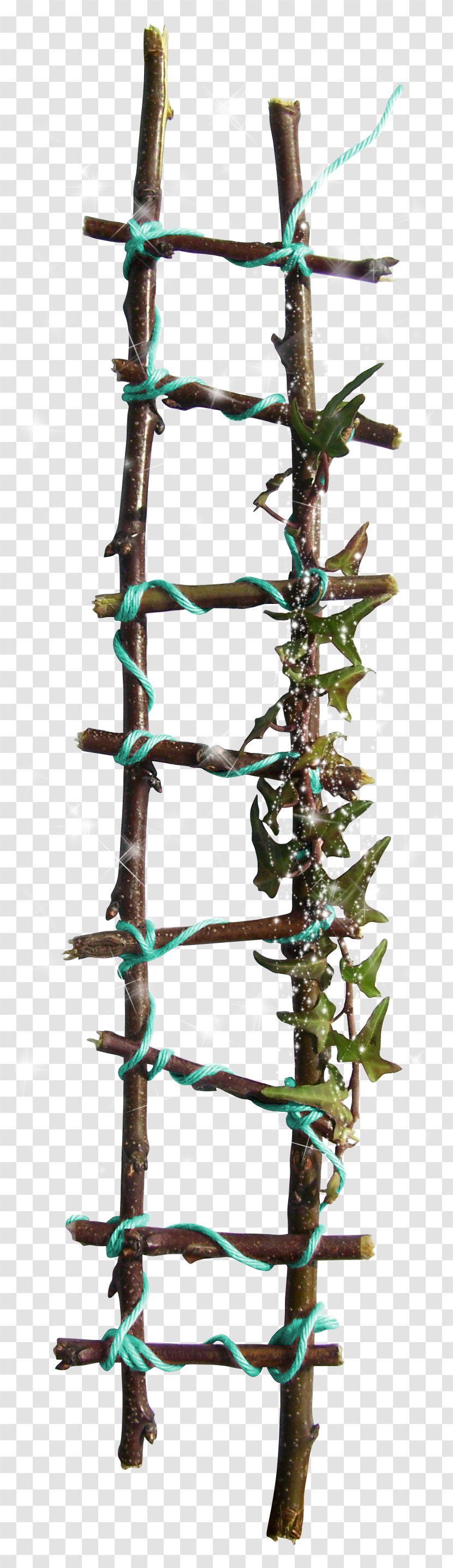 Twig Branch Plant Stem Tree Organism - Ladder Transparent PNG
