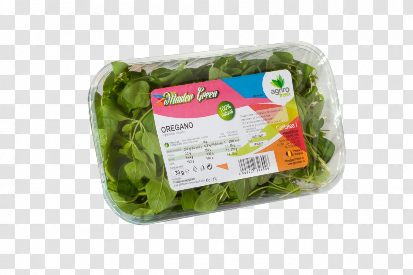 Leaf Vegetable - Vegetarian Food - Salate Transparent PNG